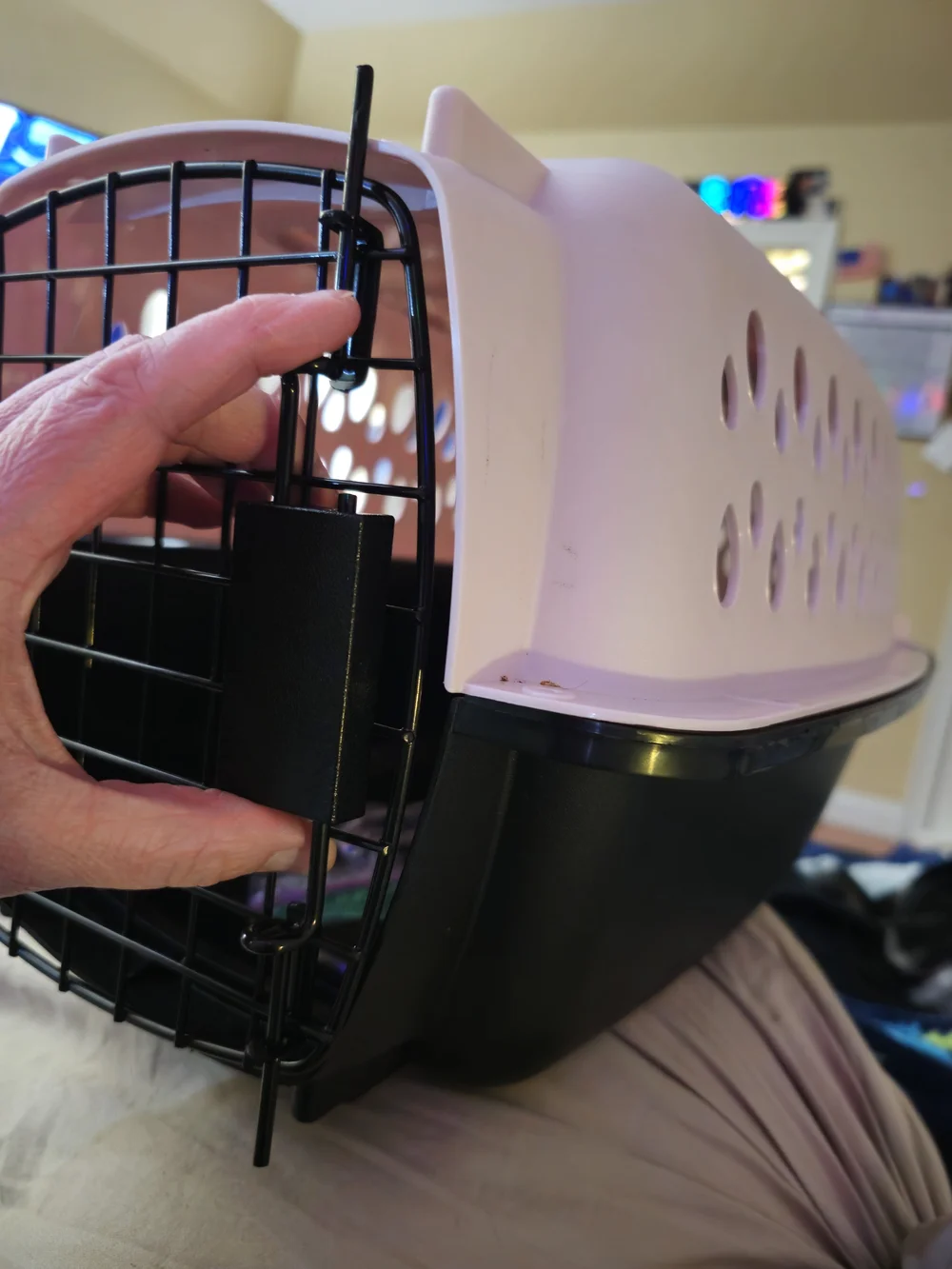 Petmate Fashion Vari Travel Dog Kennel Durable Plastic Pet Carrier, 19